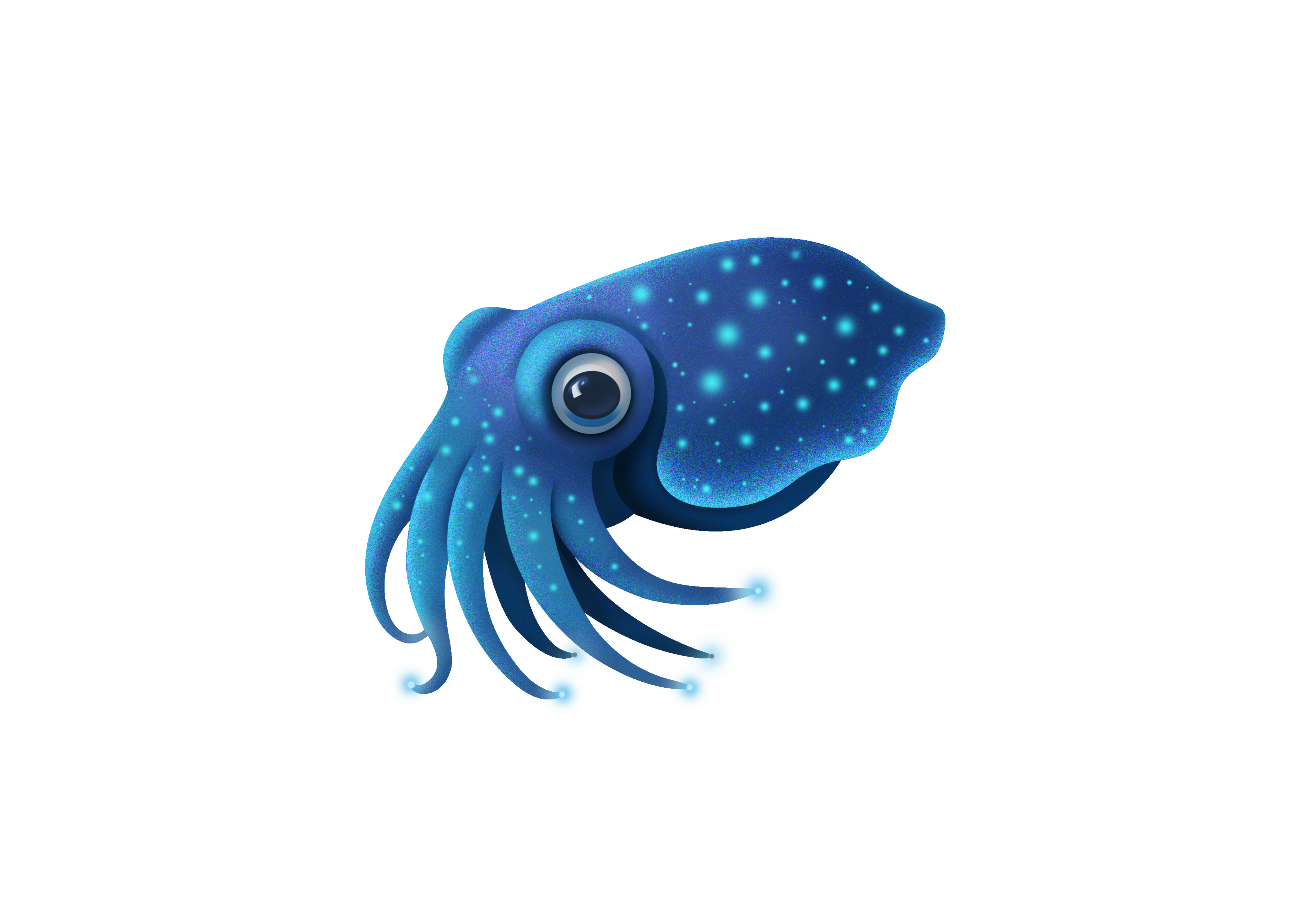 Netcom — Network Communications